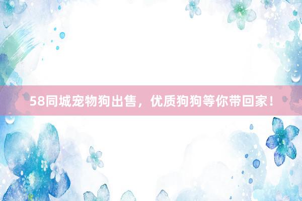 58同城宠物狗出售，优质狗狗等你带回家！